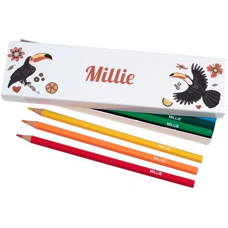 Picture of Box of 12 Named Colouring Pencils - Toucans
